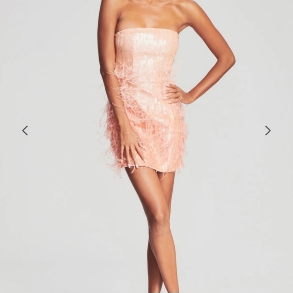 Retrofete Anastasia Feathered Mini Dress - Picture 3 of 7